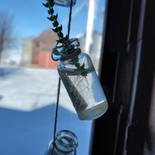 Load image into Gallery viewer, Hanging Glass Bottles - Propagation Station - Planter - 5mL Bottles