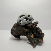 Load image into Gallery viewer, Hag Stone - Holey Stone - Adder Stone