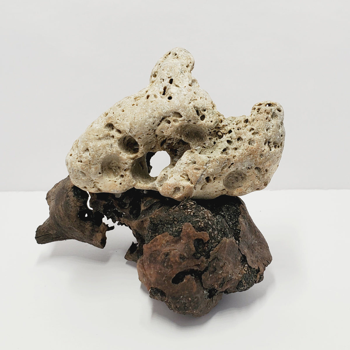 Hag Stone - Holey Stone - Adder Stone #2 – Elegance Without End