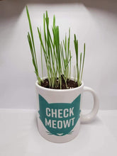 Load image into Gallery viewer, Pre-planted Cat Grass Mug
