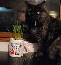 Load image into Gallery viewer, Pre-planted Cat Grass Mug
